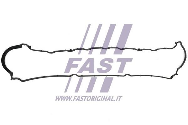 Fast FT49005 Прокладка клапанної кришки FT49005: Купити в Україні - Добра ціна на EXIST.UA!