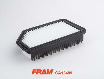 Fram CA12489 Повітряний фільтр CA12489: Купити в Україні - Добра ціна на EXIST.UA!