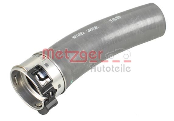 Metzger 2400381 Патрубок турбокомпресора 2400381: Купити в Україні - Добра ціна на EXIST.UA!
