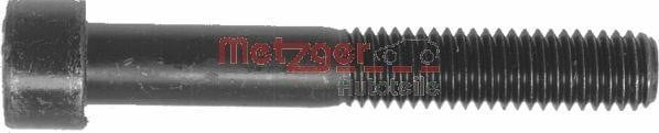 Metzger 11502 Болти кріплення скоби супорта 11502: Купити в Україні - Добра ціна на EXIST.UA!