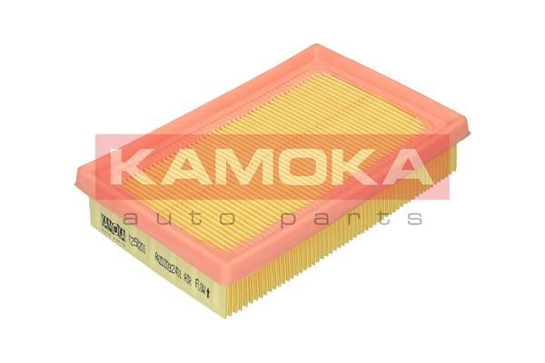 Kamoka F250201 Повітряний фільтр F250201: Купити в Україні - Добра ціна на EXIST.UA!