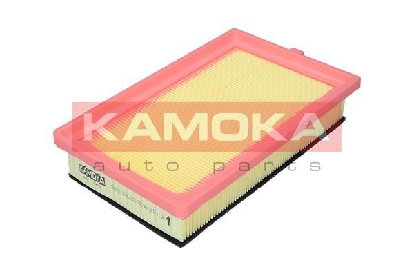 Kamoka F243101 Повітряний фільтр F243101: Купити в Україні - Добра ціна на EXIST.UA!