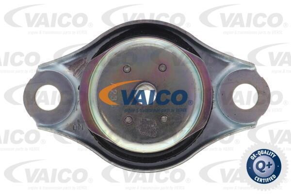 Купити Vaico V240856 за низькою ціною в Україні!