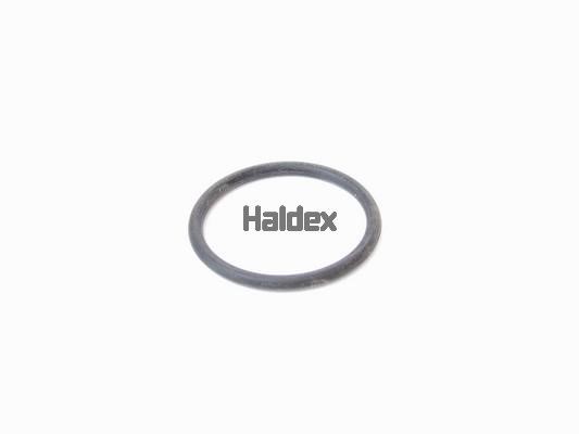Haldex 024001709 Ущільнення, робоча втулка циліндра 024001709: Купити в Україні - Добра ціна на EXIST.UA!