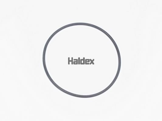 Haldex 024006109 Ущільнення, робоча втулка циліндра 024006109: Купити в Україні - Добра ціна на EXIST.UA!