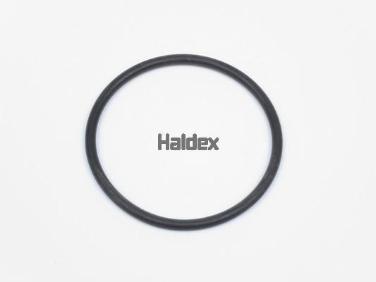 Haldex 024006709 Ущільнення, робоча втулка циліндра 024006709: Купити в Україні - Добра ціна на EXIST.UA!
