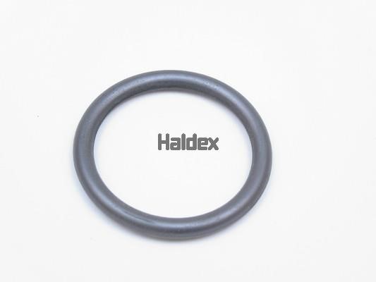 Haldex 024007409 Ущільнення, робоча втулка циліндра 024007409: Купити в Україні - Добра ціна на EXIST.UA!
