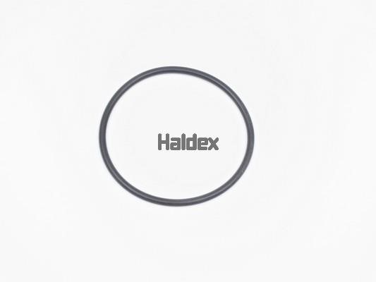 Haldex 024010309 Ущільнення, робоча втулка циліндра 024010309: Купити в Україні - Добра ціна на EXIST.UA!