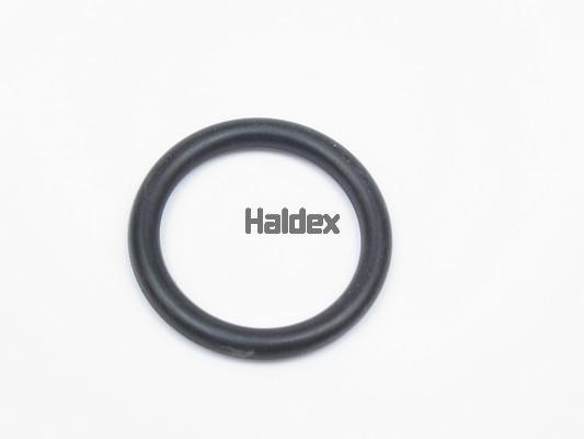 Haldex 024017209 Ущільнення, робоча втулка циліндра 024017209: Купити в Україні - Добра ціна на EXIST.UA!