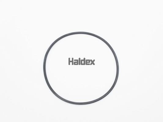 Haldex 024020909 Ущільнення, робоча втулка циліндра 024020909: Купити в Україні - Добра ціна на EXIST.UA!