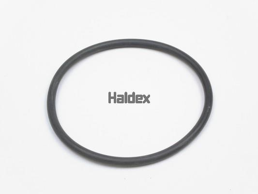 Haldex 024030109 Ущільнення, робоча втулка циліндра 024030109: Купити в Україні - Добра ціна на EXIST.UA!