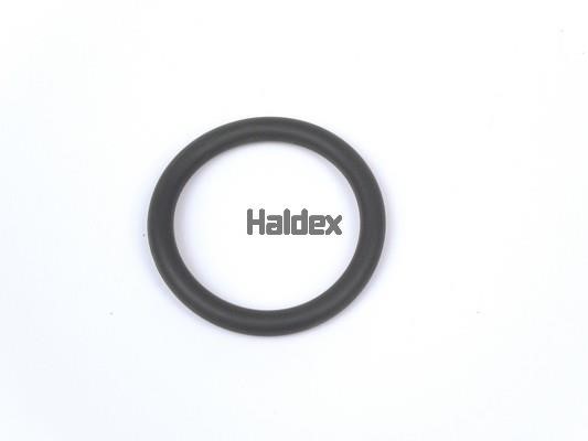 Haldex 024500309 Ущільнення, робоча втулка циліндра 024500309: Купити в Україні - Добра ціна на EXIST.UA!