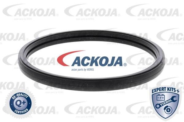 Купити Ackoja A52-99-0026 за низькою ціною в Україні!