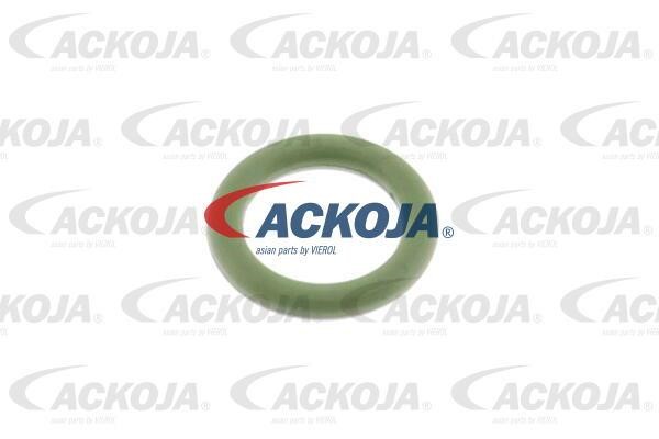 Фільтр палива Ackoja A70-0273