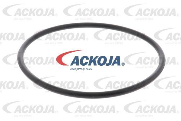 Купити Ackoja A700768 – суперціна на EXIST.UA!