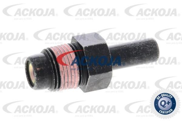 Ackoja A70-0800 Клапан вентиляції картерних газів A700800: Купити в Україні - Добра ціна на EXIST.UA!