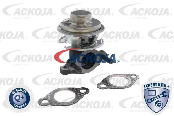 Ackoja A52-63-0028 Клапан системи рециркуляції ВГ A52630028: Купити в Україні - Добра ціна на EXIST.UA!