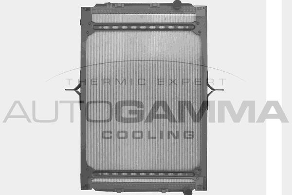 Autogamma 404594 Радіатор, система охолодження двигуна 404594: Купити в Україні - Добра ціна на EXIST.UA!
