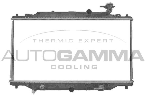 Autogamma 107725 Радіатор, система охолодження двигуна 107725: Купити в Україні - Добра ціна на EXIST.UA!