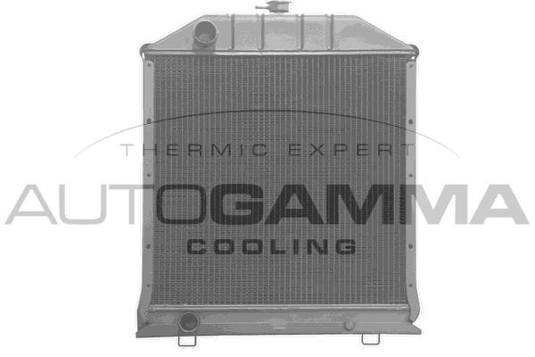 Autogamma 400392 Радіатор, система охолодження двигуна 400392: Купити в Україні - Добра ціна на EXIST.UA!