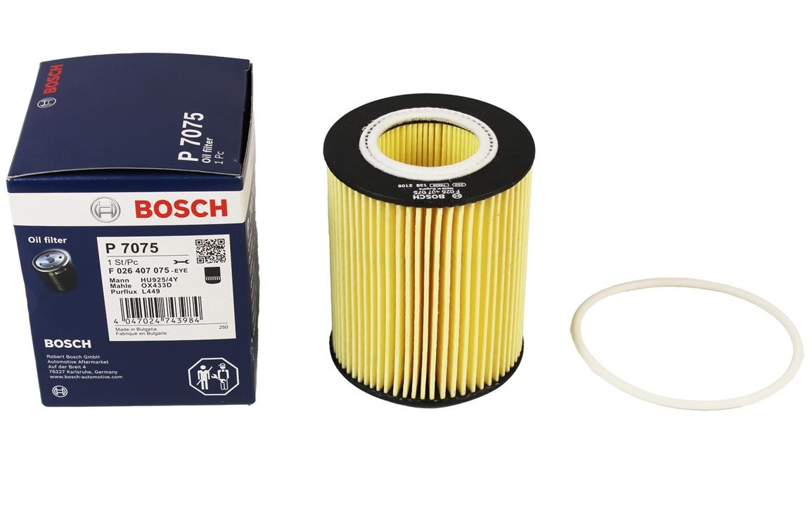 Купити Bosch F 026 407 075 за низькою ціною в Україні!