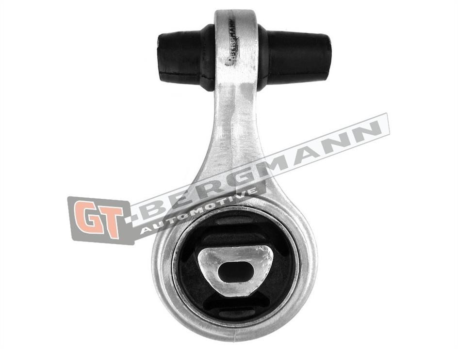 Купити Gt Bergmann GT25-027 за низькою ціною в Україні!