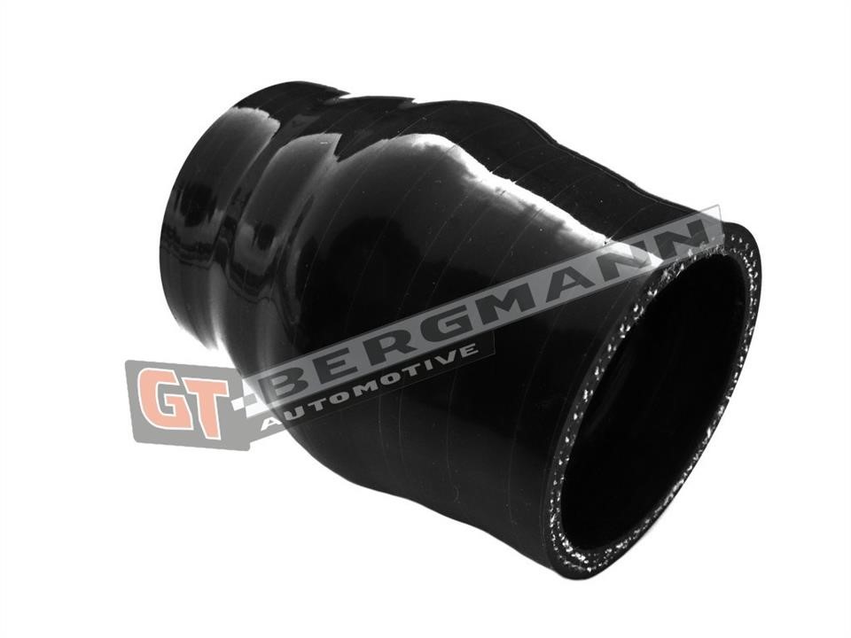 Купити Gt Bergmann GT52-237 за низькою ціною в Україні!