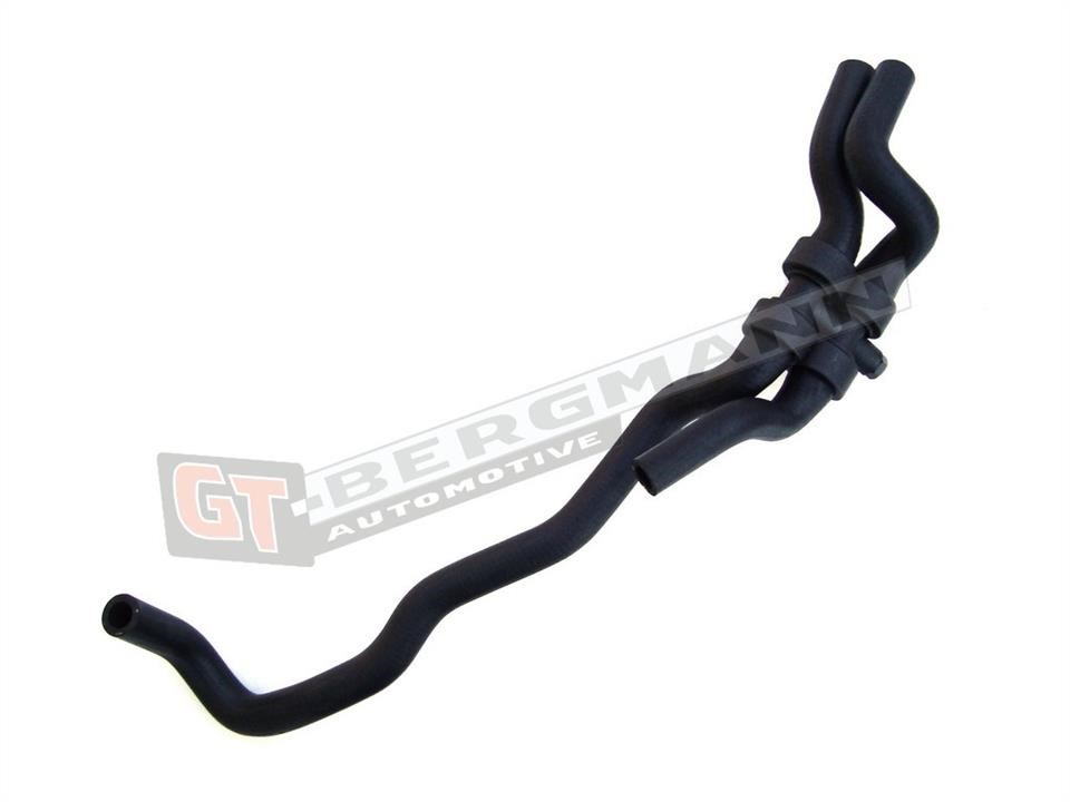 Купити Gt Bergmann GT52152 – суперціна на EXIST.UA!