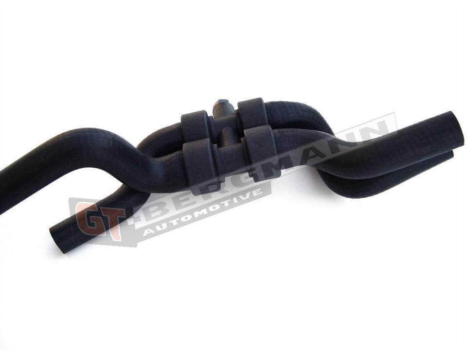 Купити Gt Bergmann GT52-152 за низькою ціною в Україні!