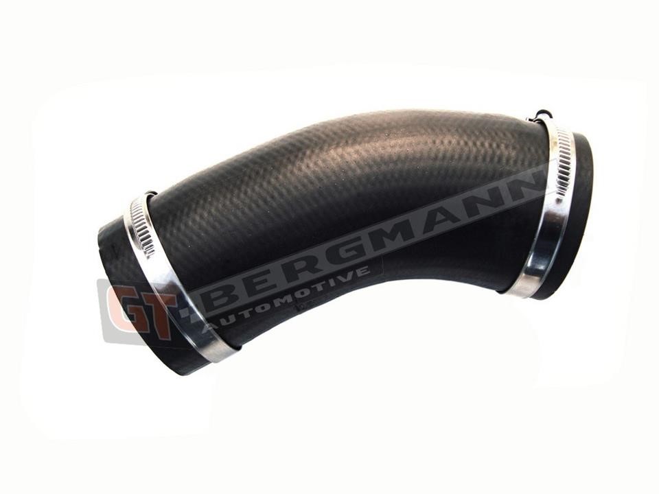 Купить Gt Bergmann GT52-182 по низкой цене в Украине!
