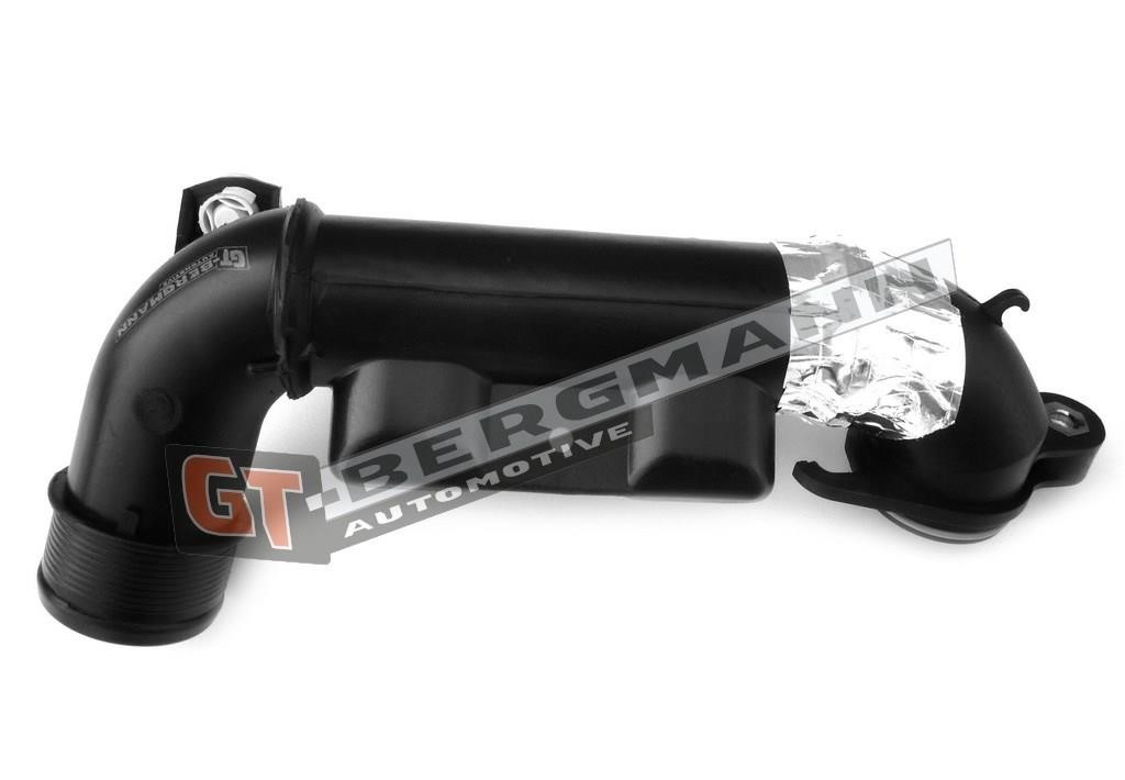 Купити Gt Bergmann GT52-252 за низькою ціною в Україні!