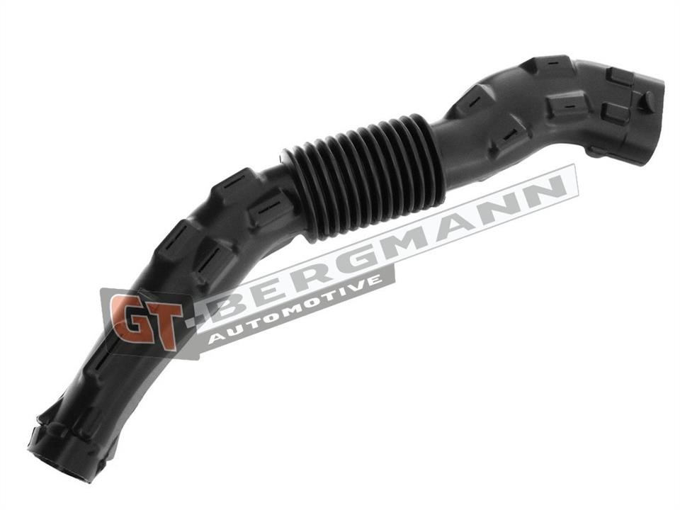 Купити Gt Bergmann GT52-253 за низькою ціною в Україні!