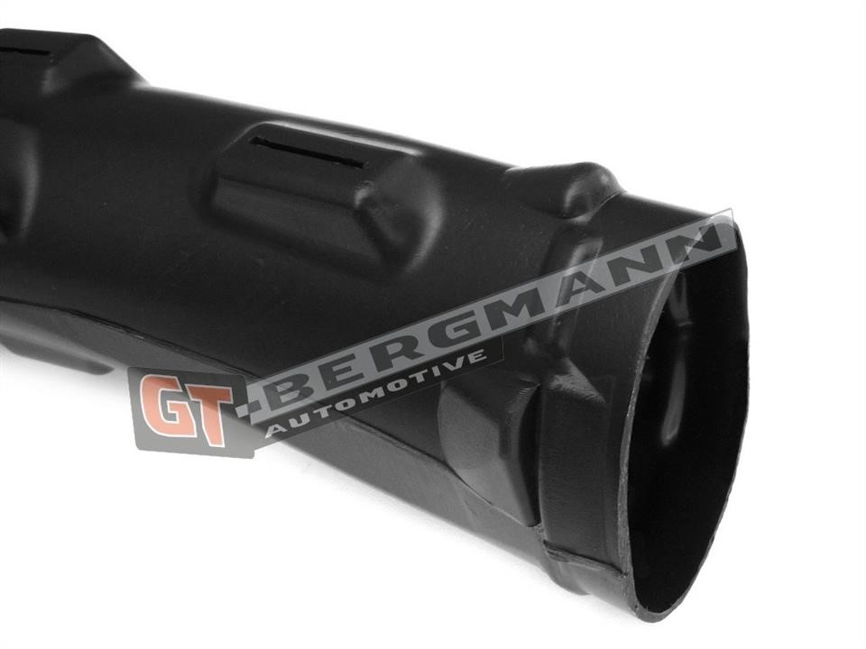 Купити Gt Bergmann GT52253 – суперціна на EXIST.UA!