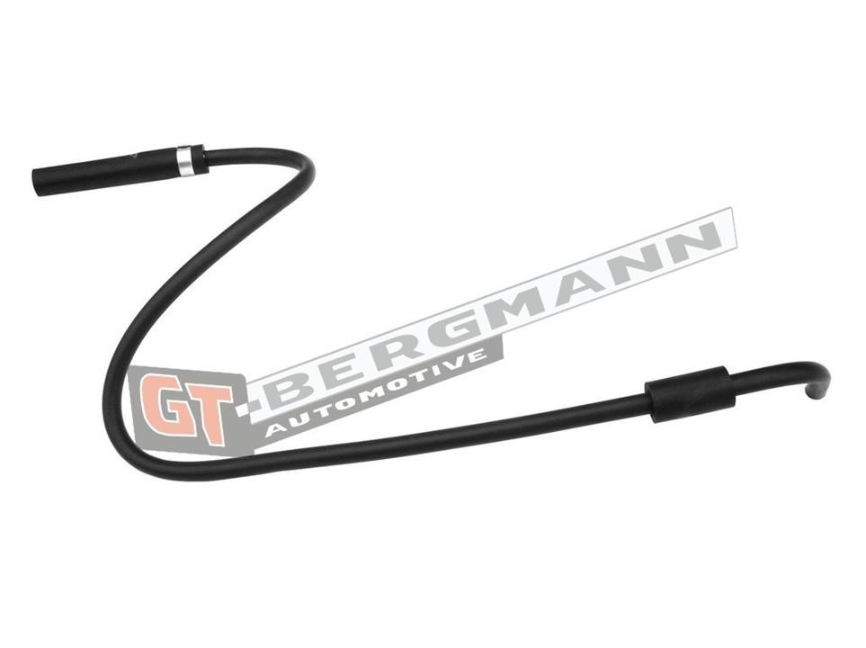 Купити Gt Bergmann GT52-354 за низькою ціною в Україні!