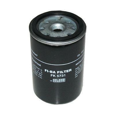 FI.BA filter FK-5731 Фільтр палива FK5731: Купити в Україні - Добра ціна на EXIST.UA!