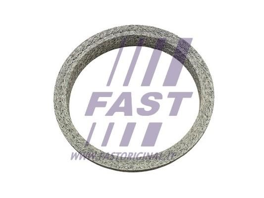 Купити Fast FT84818 за низькою ціною в Україні!