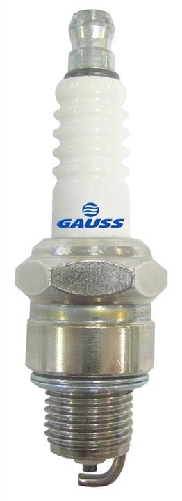 Gauss GV5P81 Свічка запалювання GV5P81: Приваблива ціна - Купити в Україні на EXIST.UA!