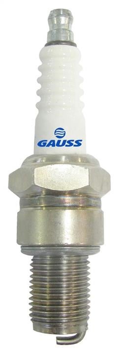 Gauss GV6R96 Свічка запалювання GV6R96: Купити в Україні - Добра ціна на EXIST.UA!