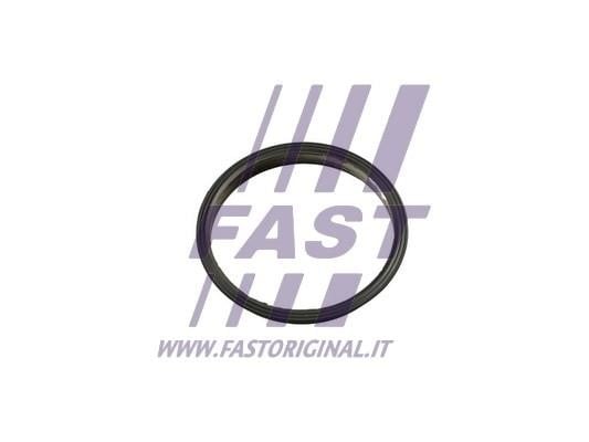 Fast FT49853 Ущільнення, вакуумний насос FT49853: Приваблива ціна - Купити в Україні на EXIST.UA!