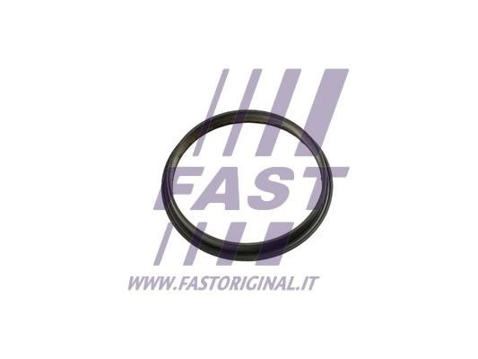 Купити Fast FT49853 за низькою ціною в Україні!