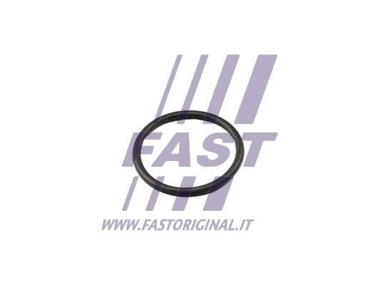 Fast FT49917 Ущільнення, термостат FT49917: Купити в Україні - Добра ціна на EXIST.UA!