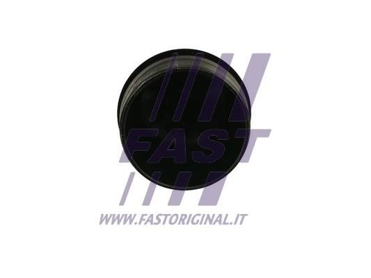 Купити Fast FT94748 за низькою ціною в Україні!