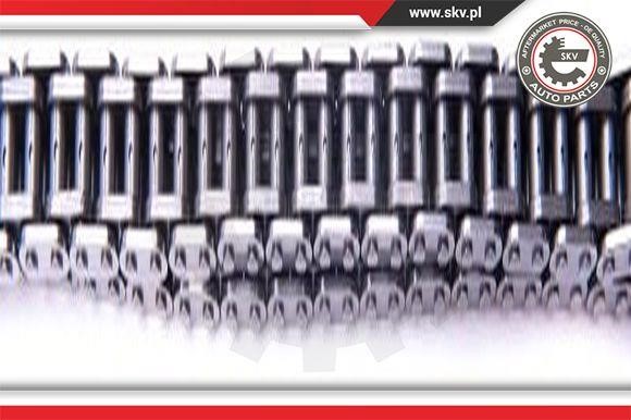 Комплект цепи ГРМ Esen SKV 21SKV124