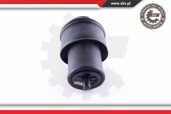 Пневморесора, ходова частина Esen SKV 58SKV022