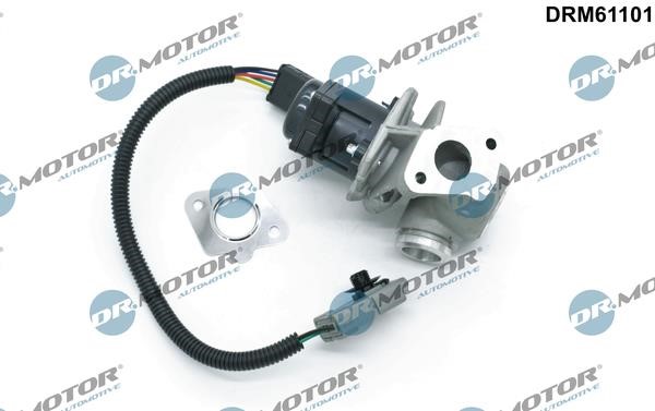 Dr.Motor DRM61101 Клапан рециркуляції відпрацьованих газів EGR DRM61101: Купити в Україні - Добра ціна на EXIST.UA!
