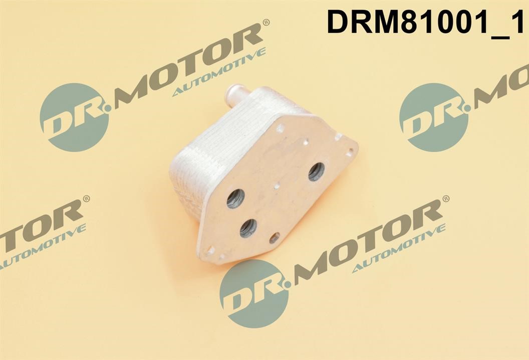 Купити Dr.Motor DRM81001 за низькою ціною в Україні!