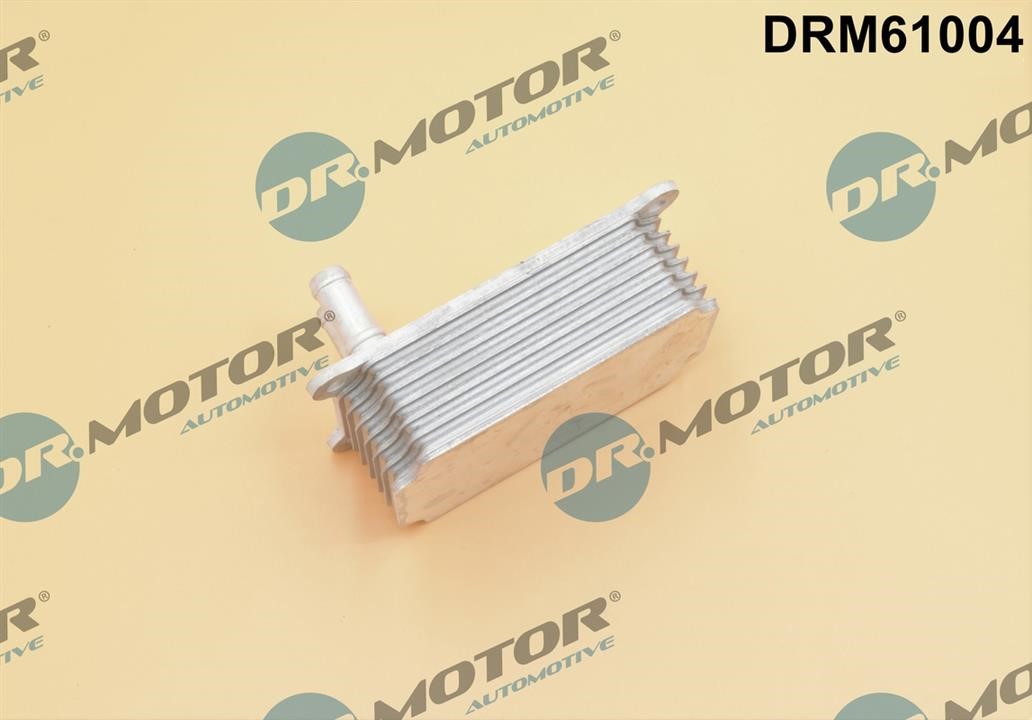 Купити Dr.Motor DRM61004 за низькою ціною в Україні!
