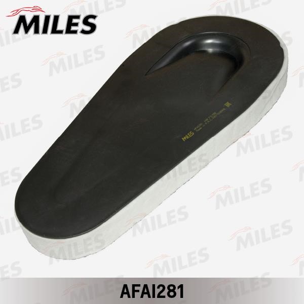 Miles AFAI281 Повітряний фільтр AFAI281: Купити в Україні - Добра ціна на EXIST.UA!