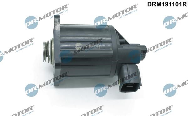 Dr.Motor DRM191101R Клапан рециркуляції відпрацьованих газів EGR DRM191101R: Приваблива ціна - Купити в Україні на EXIST.UA!
