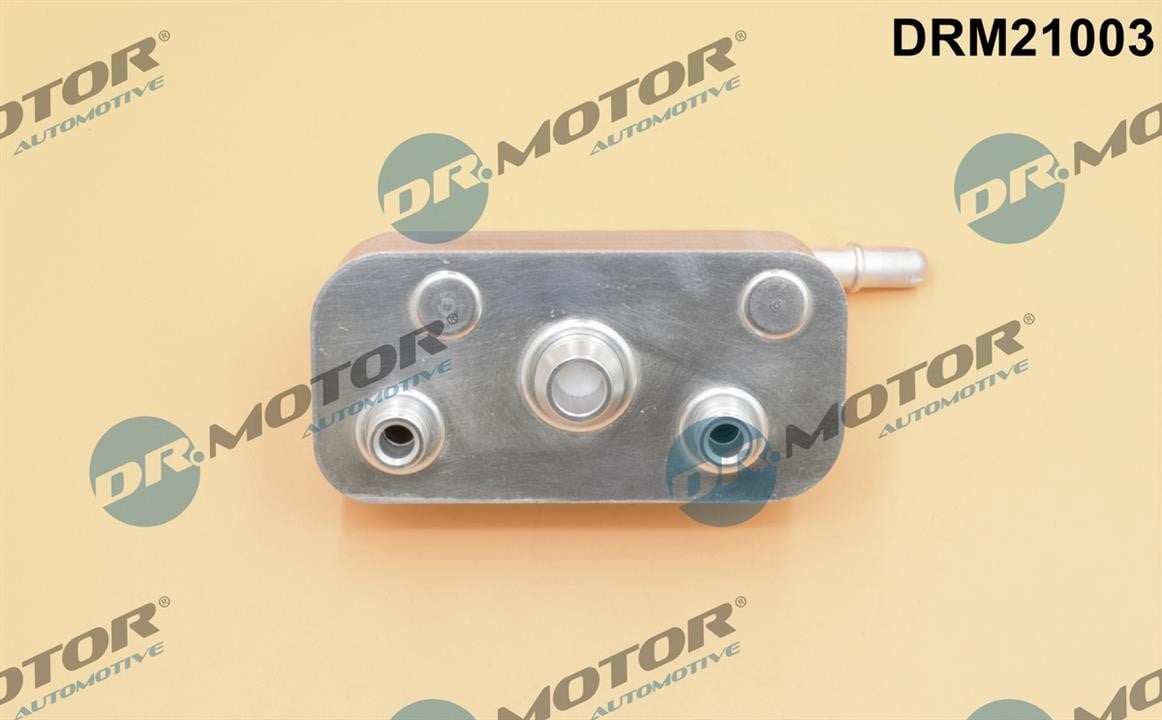 Купити Dr.Motor DRM21003 за низькою ціною в Україні!